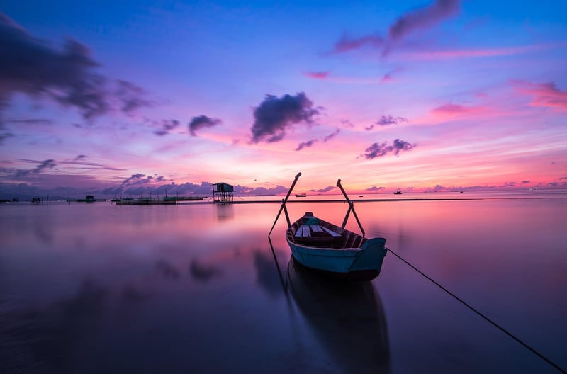 Travel Experience